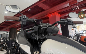 HARLEY FXLRST 2024 YXZ