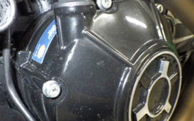 DUCATI SCRAMBLER ICON 2021