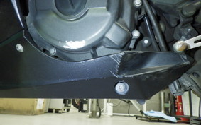 KAWASAKI NINJA 250 EX250P