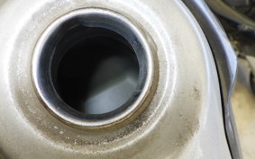 YAMAHA TRICKER DG10J