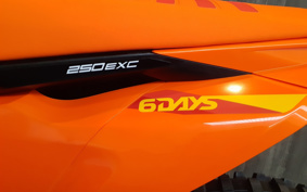 KTM 250 EXC SIXDAYS GSA20