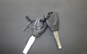 DUCATI DESSERT X 2024