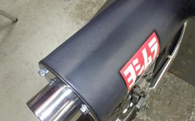 HONDA XR-250 GEN 2 1996 MD30