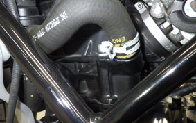 HUSQVARNA SVARTPILEN 250 2024