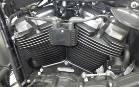 HARLEY FXBB1750 2019