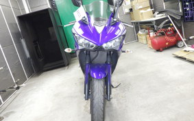 YAMAHA YZF-R25 RG10J