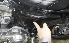 HARLEY XL883LI 2009