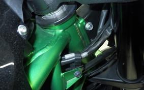 KAWASAKI ZH2 2020 ZRT00K