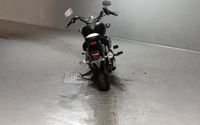 YAMAHA DRAGSTAR 250 VG02J