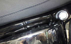 HARLEY FXBR1920 2025