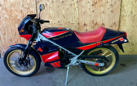 YAMAHA AKUSHI STREET SE53J