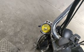 YAMAHA VIRAGO 250 3DM