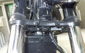 TRIUMPH BONNEVILLE T100 2024