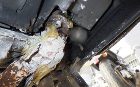 YAMAHA BJ 2002 SA24J