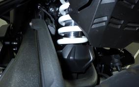 BMW R1300RS ASA 2025