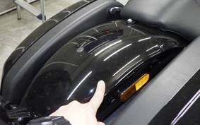 HARLEY FXLRST1920 2025