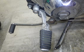YAMAHA VIRAGO 250 2014 3DM
