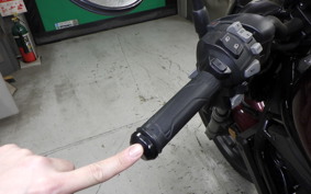 HONDA REBEL 1100 DCT 2021 SC83