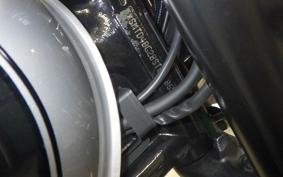 TRIUMPH BONNEVILLE T100 2025