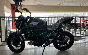 KAWASAKI Z250 EX250Y