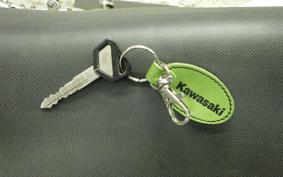 KAWASAKI KLX250 LX250E