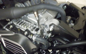 YAMAHA CYGNUSｸﾞﾘﾌｧｽ SEJ4J