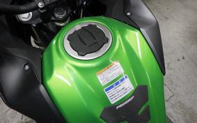 KAWASAKI VERSYS X250Aﾂｱﾗｰ 2021 LE250D