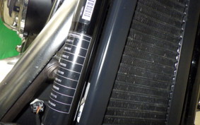 HARLEY FLFB 1750 2019