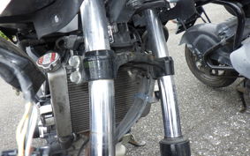 SUZUKI GSX-R125 2006 DL33B