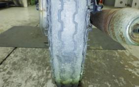 HONDA C90 SUPER CUB 2024 HA02