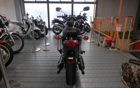 KAWASAKI W800 2016 EJ800A