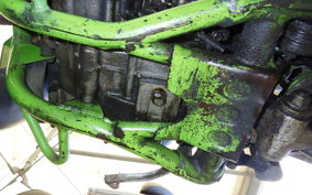 KAWASAKI KDX200SR 2024 DX200G