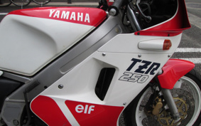 YAMAHA TZR250-1 1KT