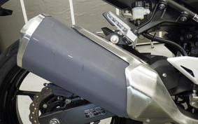 KAWASAKI NINJA 250 EX250P