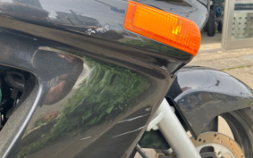 KAWASAKI ZZ-R250 EX250H