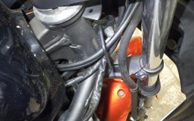 KAWASAKI NINJA 250 2021 EX250L