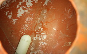 OTHER +RABBIT125 2021 S301A