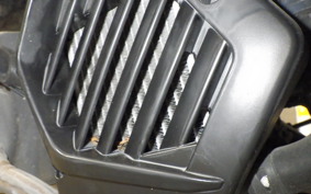 HONDA TACT Basket 2015 AF75