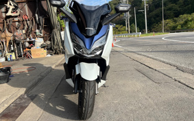 HONDA FORZA 250 MF13