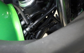 KAWASAKI VERSYS-X 250 A