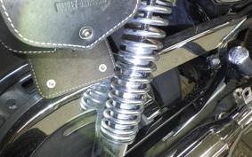 OTHER +HD. XL1200C-I 2008