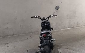 HONDA ZUMAR AF58