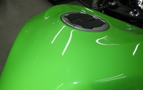KAWASAKI NINJA ZX-6R A 2025 ZX636J