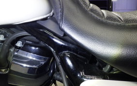 HARLEY FLTRXS1750 2018