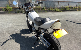 HONDA APE 50 AC16