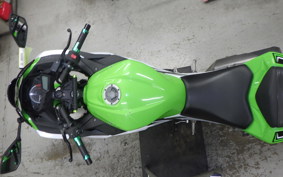 KAWASAKI NINJA 250 EX250L