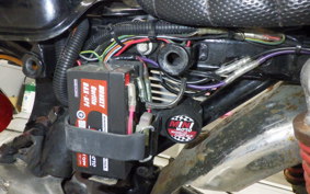 HONDA GORILLA 2021 Z50J