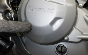 KAWASAKI KLX230S 2010 LX232A
