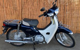 HONDA SUPER CUB110 JA10