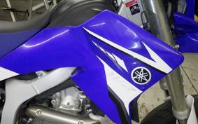 YAMAHA WR250R 2015 DG15J